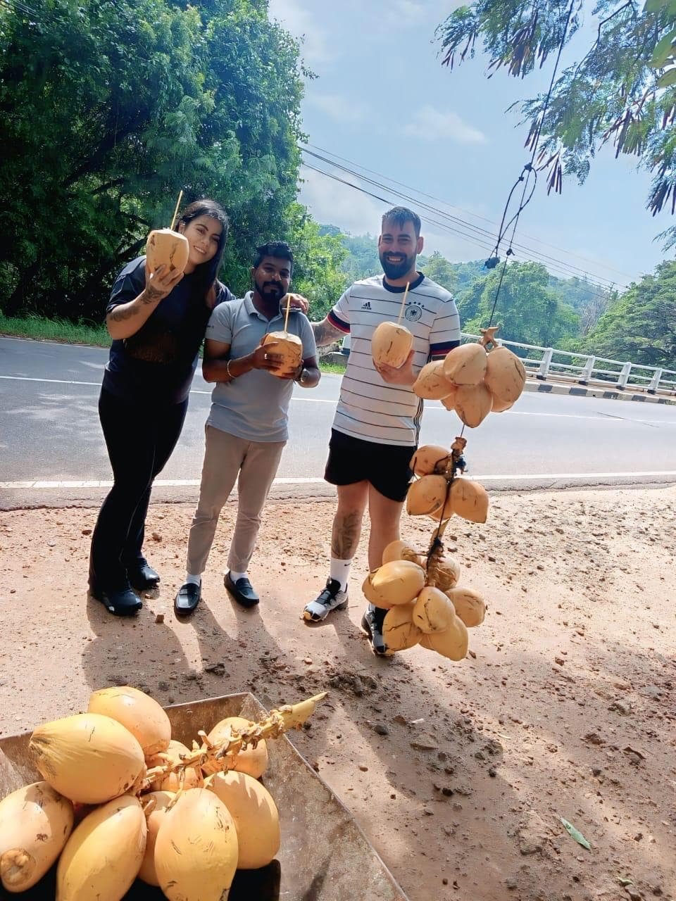 Guests stopping for king coconuts on the road